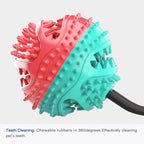 Round Food-Dispensing Puzzle Ball for Dogs