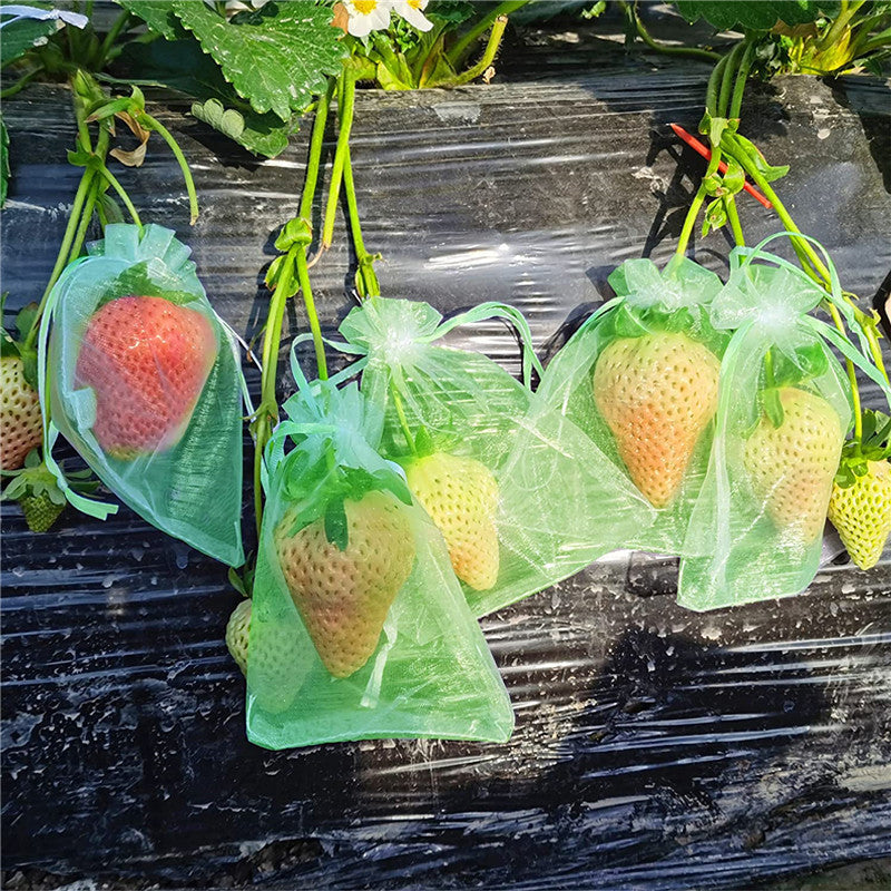 Fruit Protection Bag (100 PCS)