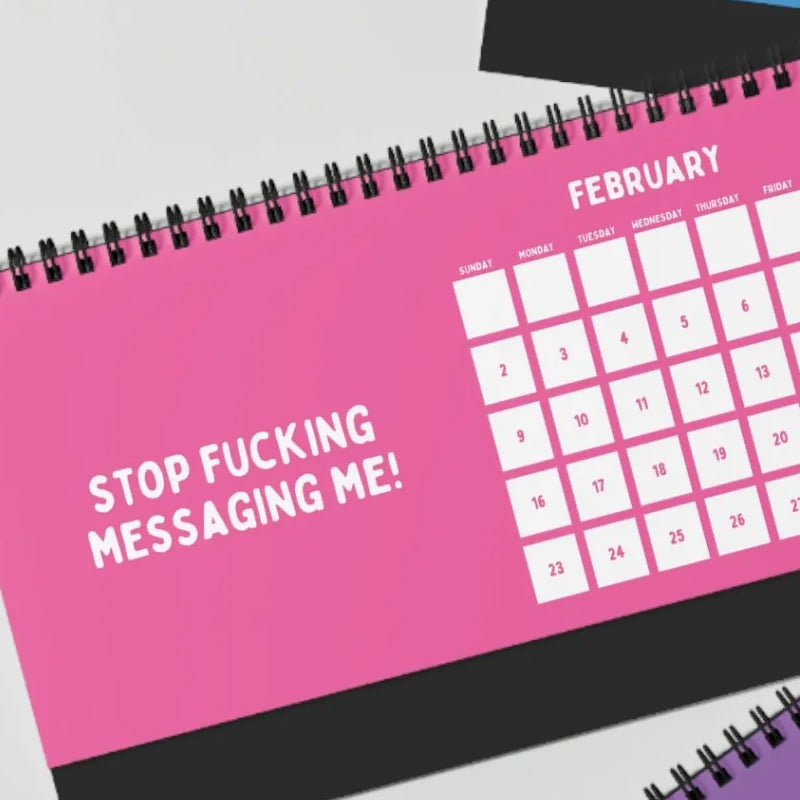 Funny 2025 sarcastic calendar