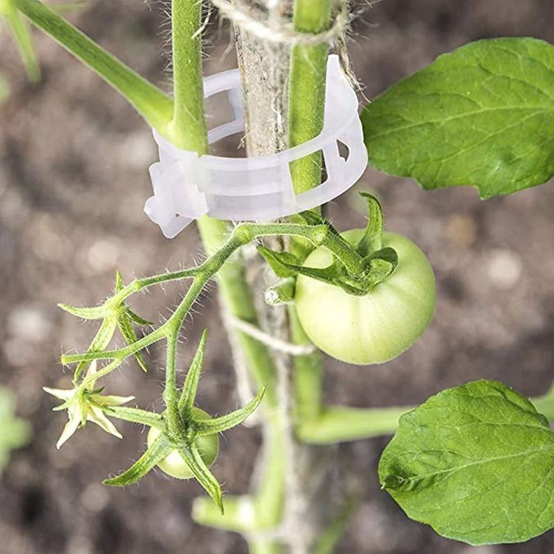 Practical Plant Support Clip