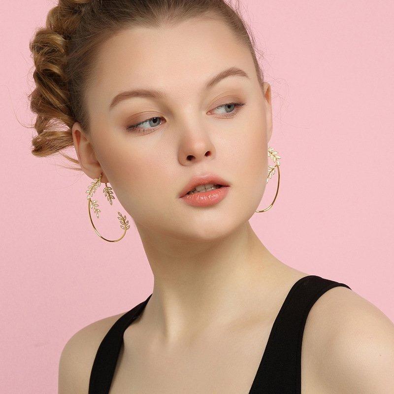Shiny Zircon Earrings