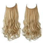 Long Curly Wavy Wig