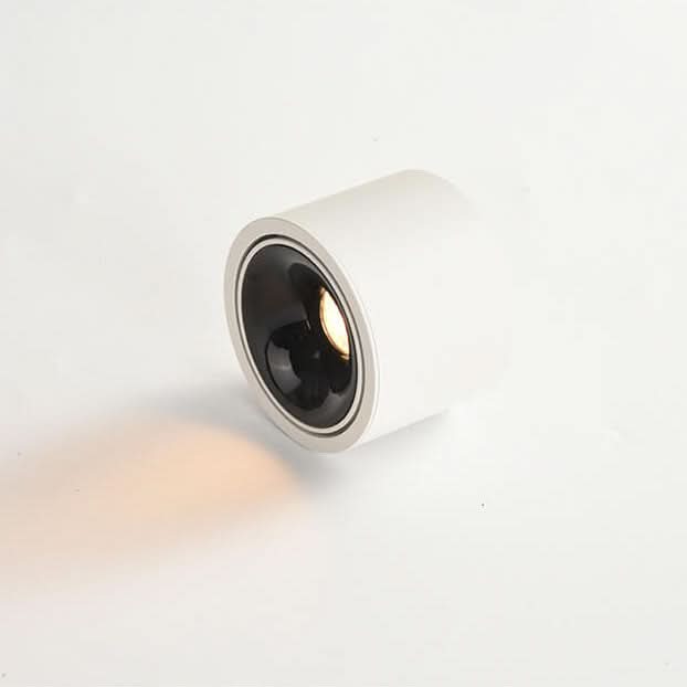 Adjustable LED Flush Mount Ceiling Spotlight