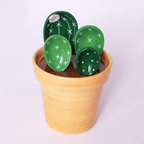 Creative and practical measuring spoon set with cactus motif