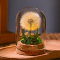 EternaBloom Night Light