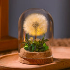 EternaBloom Night Light