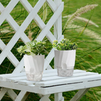Self Watering Planter