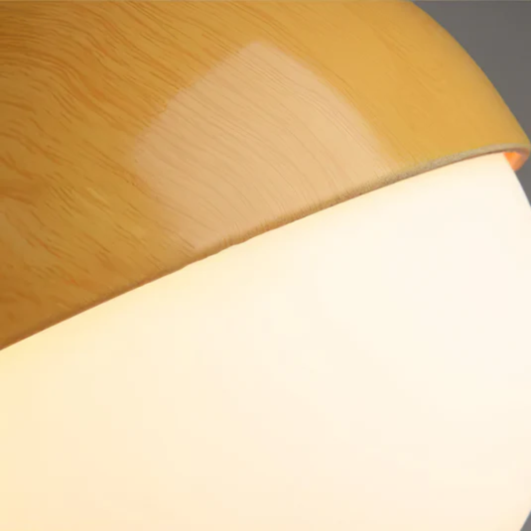 Nuts Art Pendant Lamp