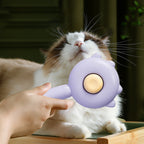 Pet Comb Brush