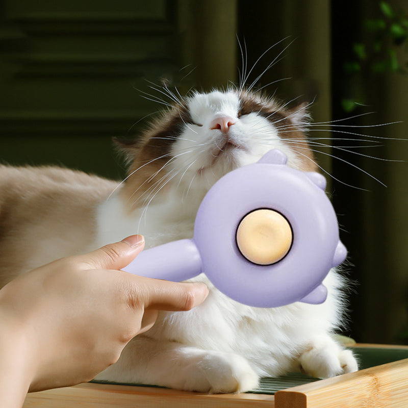 Pet Comb Brush