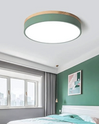 Modern Ceiling Lamp with Nature-Inspired Shape