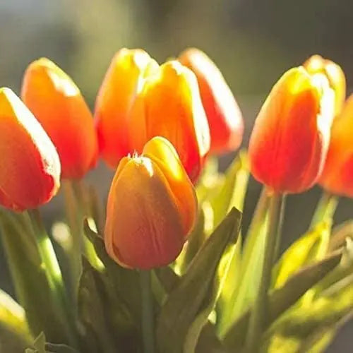 10-piece set artificial tulips made of latex – stylish and durable decorative flowers