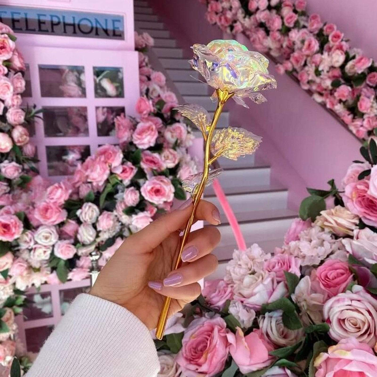 10 pieces Galaxy roses