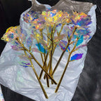 10 pieces Galaxy roses