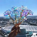 10 pieces Galaxy roses