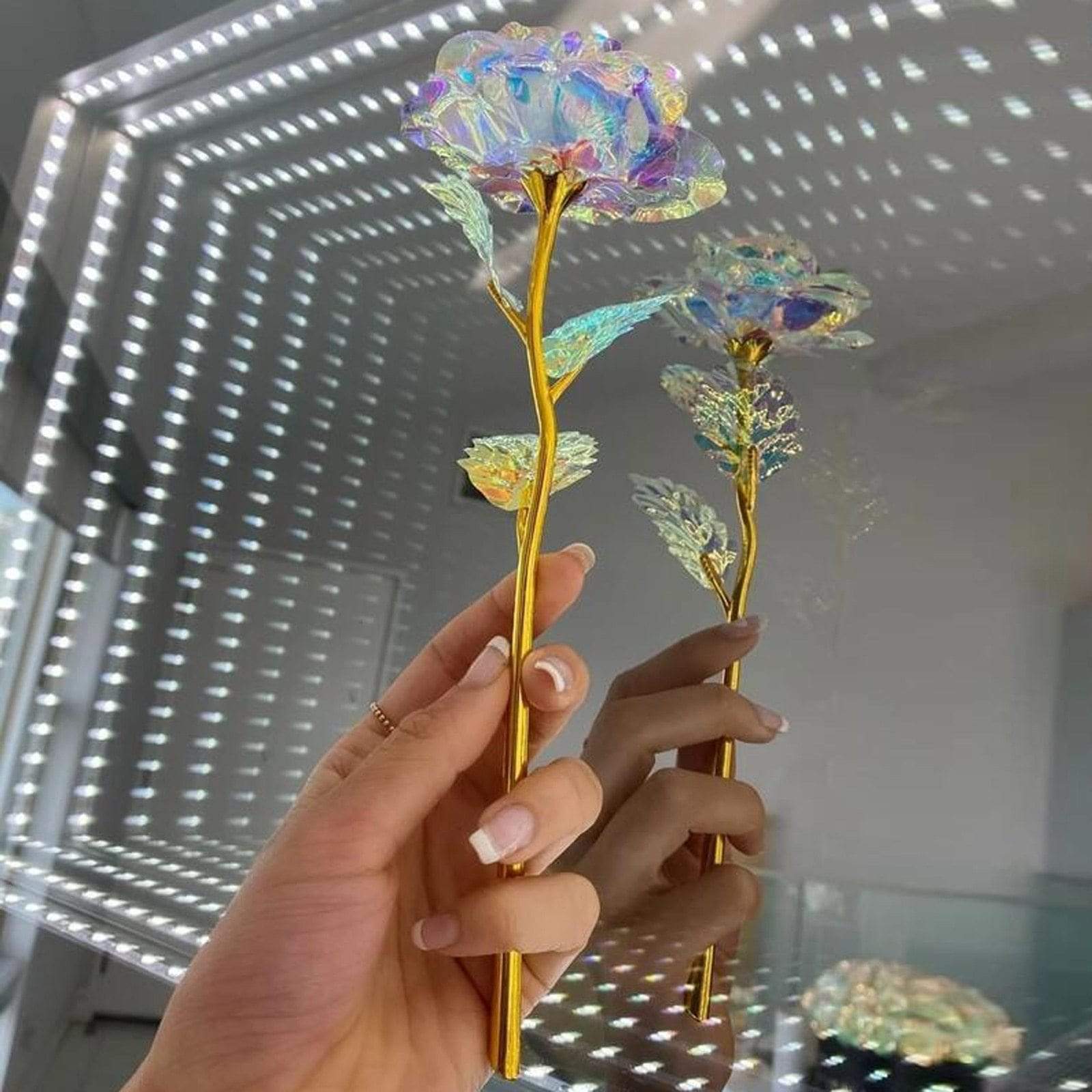10 pieces Galaxy roses
