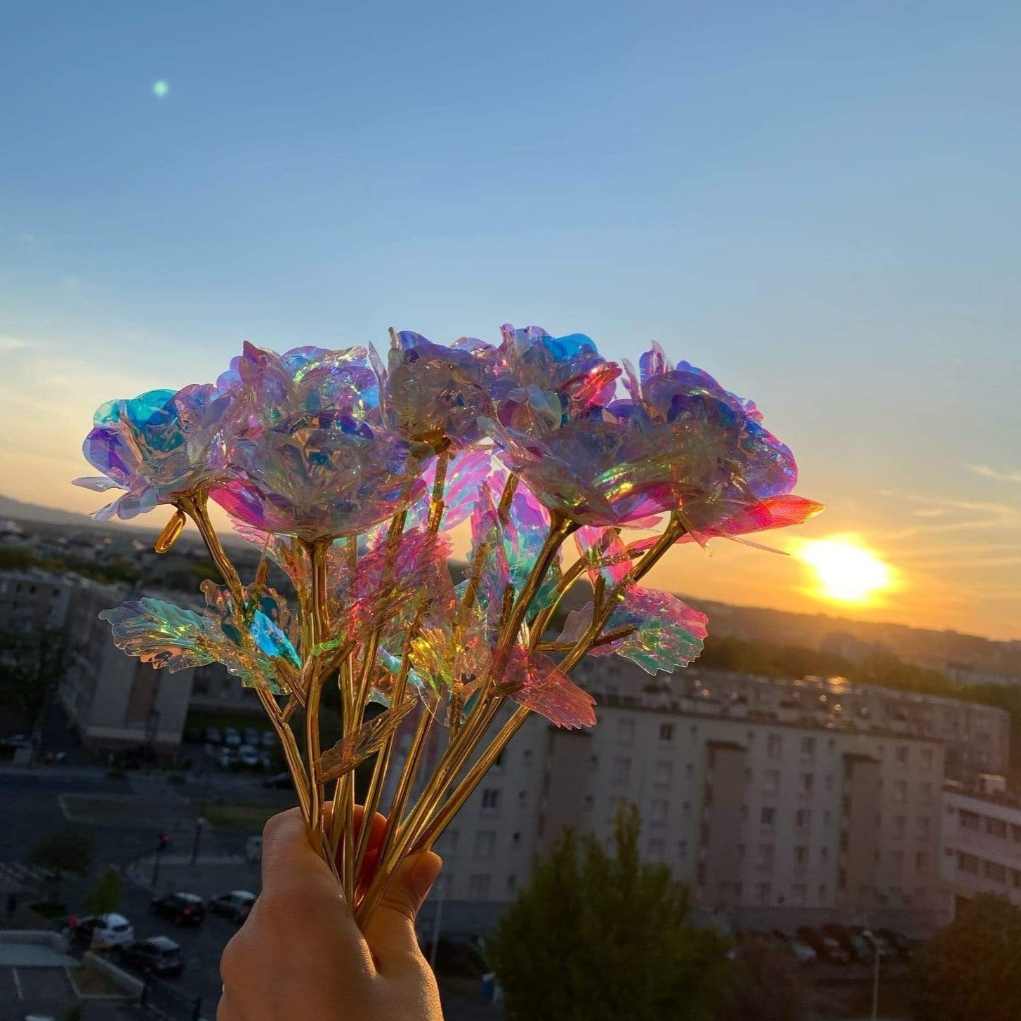 10 pieces Galaxy roses