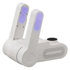Shoe dryer/dehumidifier