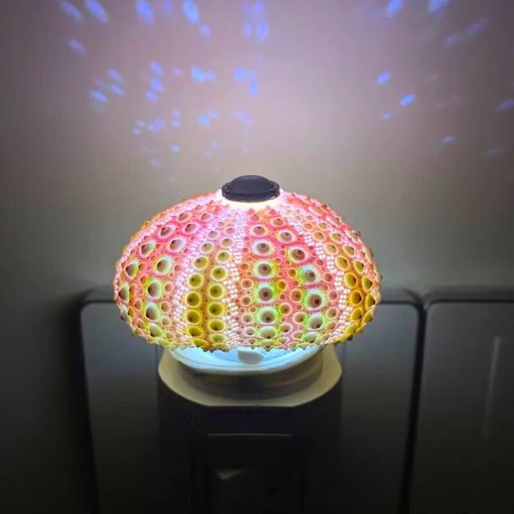 LumiCraft – Unique DIY table lamp with natural sea shell for a cozy décor