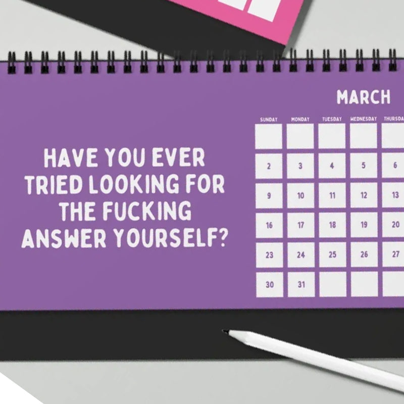 Funny 2025 sarcastic calendar