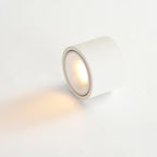 Origo Minimalistic LED Ceiling Light - Adjustable Round Recessed Lamp