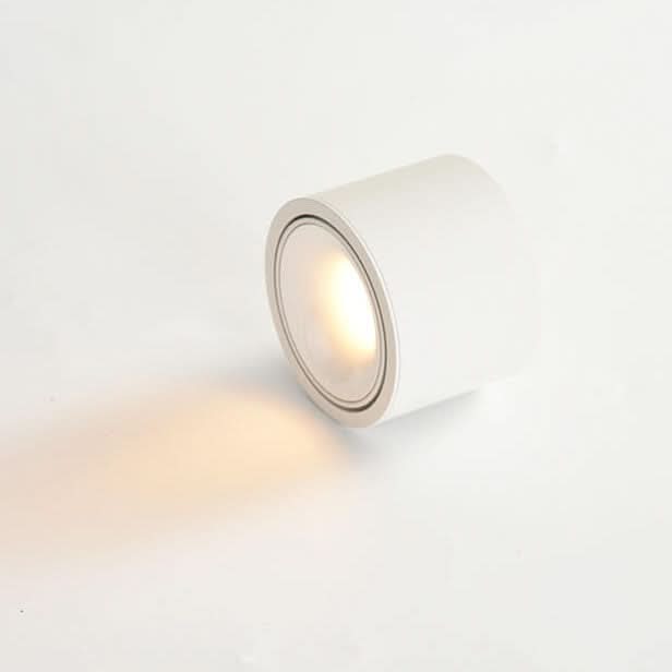 Adjustable LED Flush Mount Ceiling Spotlight