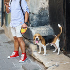 LED Leash for Pets retractable