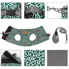 Cat vest harness and leash set for walks