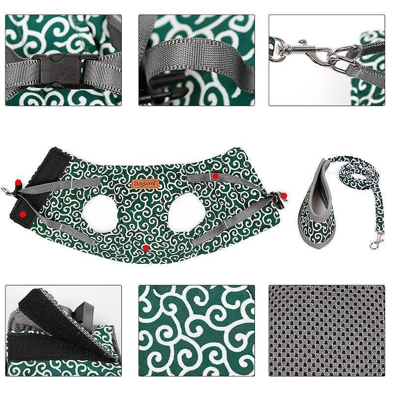 Cat vest harness and leash set for walks