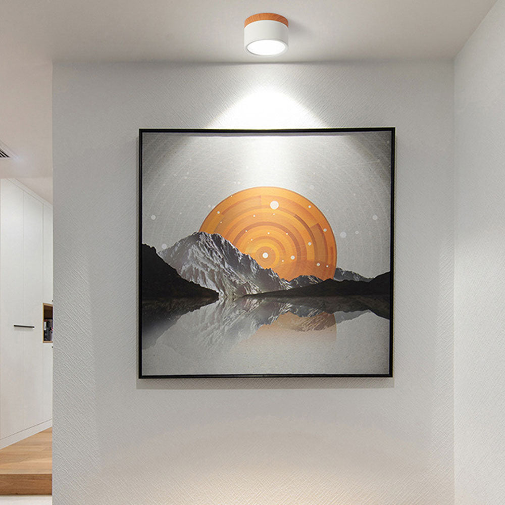 LED Ceiling Light Modern Flush Mount Cylinder