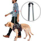 Orthopedic Strap for Hind Legs