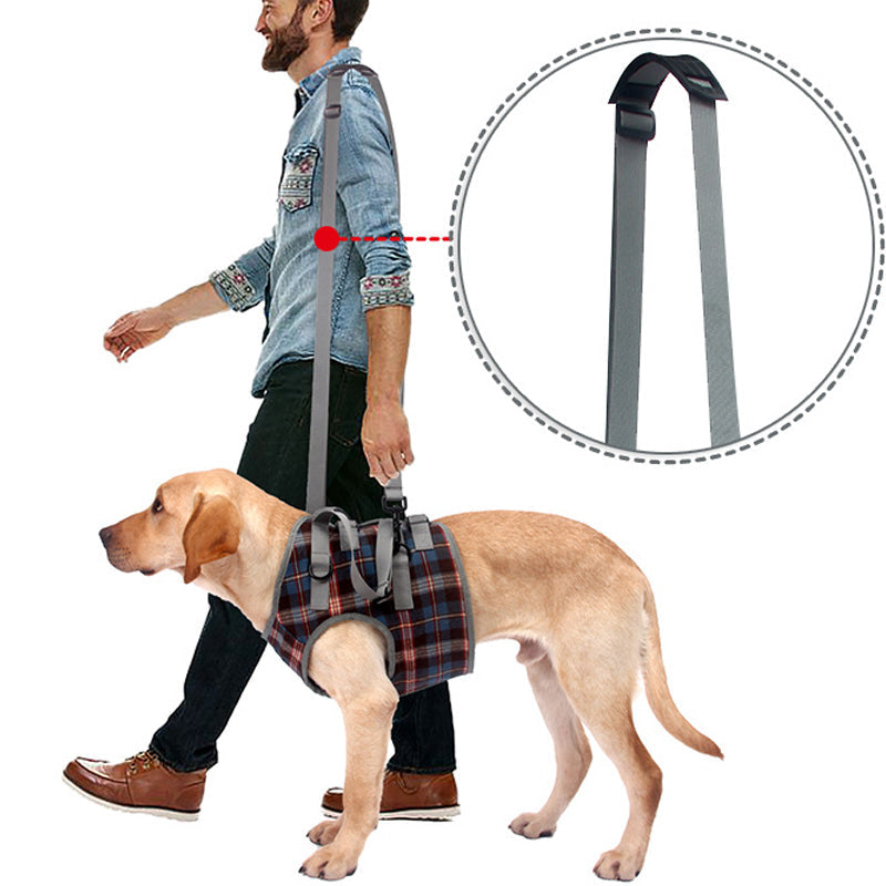 Orthopedic Strap for Hind Legs