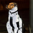 Waterproof Dog Coat with Legs – Reflective Dog Rain Jacket for Small & Large Breeds | Best Rain Coat for Dogs UK