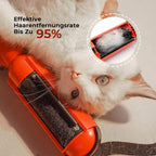 Reusable lint rollers for pet hair