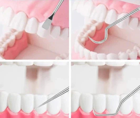 Improve your oral hygiene - Maintenance kit - Stainless fabrics - Environmentally friendly and durable