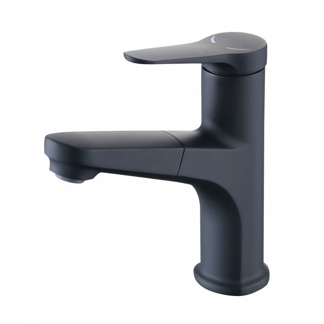 Round Modern Sink Faucet with Pull-Out Single-Hole Basin Faucet