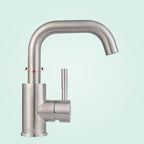 Swivel Bathroom Faucet Contemporary Design Vessel Faucet with Stainless Steel