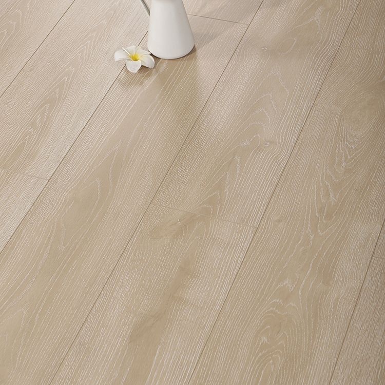 Contemporary Laminate Flooring Light Color Wood Laminate Flooring