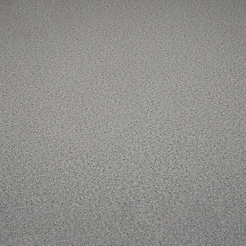 Indoor Flooring Peel and Stick Coiled PVC 200cm Waterproof Vinyl Flooring