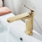 Luxury 1 Handle Sink Bathroom Faucet Round Brass Sink Faucet with Water Hose