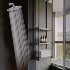 Contemporary Fest Shower Head Round Shower Head Combo in Silver