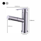 Pull-out Faucet Contemporary Single Lever Faucet with Swivel Spout