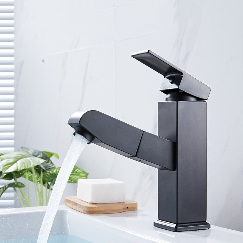 Contemporary Style Faucets Single Handle Swivel Spout Faucets