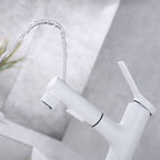 Contemporary Single Handle Faucet Retractable Sink Faucet with Lever Handle