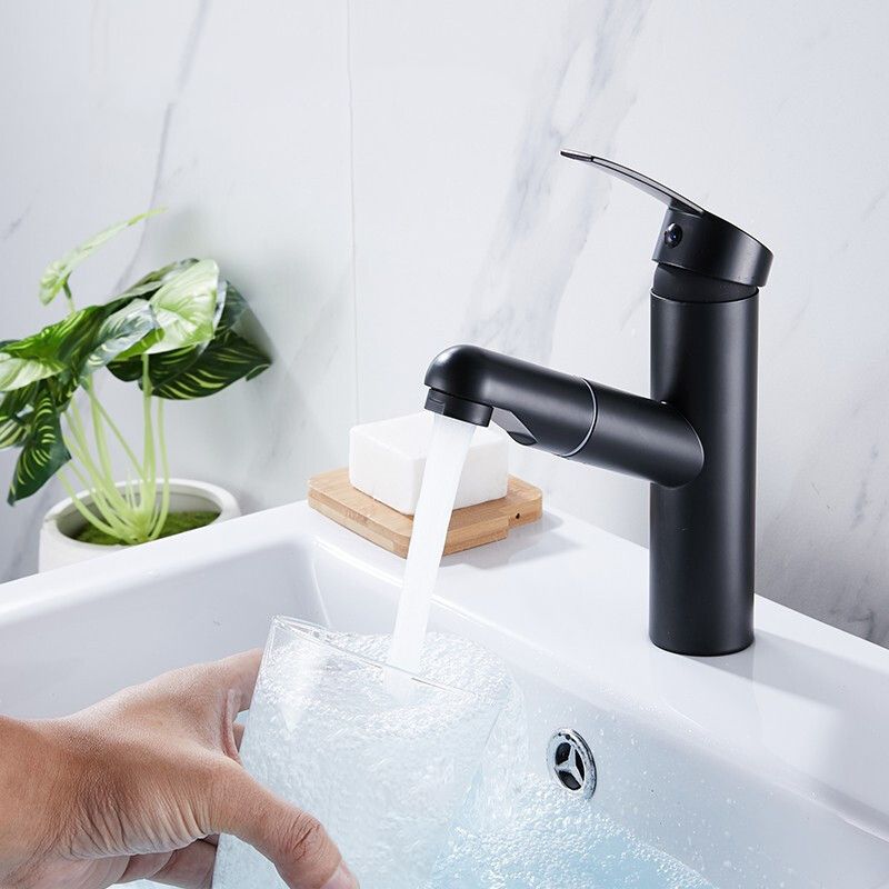 Contemporary Style Faucets Single Handle Swivel Spout Faucets