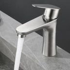 Faucet Hose Stainless Steel Single-Lever Basin Mixer
