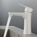 Round Vessel Faucet Lever Handle Stainless Steel Bathroom Faucet with Water Hose