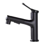 Contemporary Sink Faucet Plian Low Arc Center-Set Bathroom Faucet