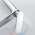 Glam Vessel Sink Faucet Brass Lever Handles with Water Hose Sink Fitting