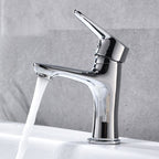Basic Metal Sink Faucet Silver Bathroom Faucet with Lever Handle